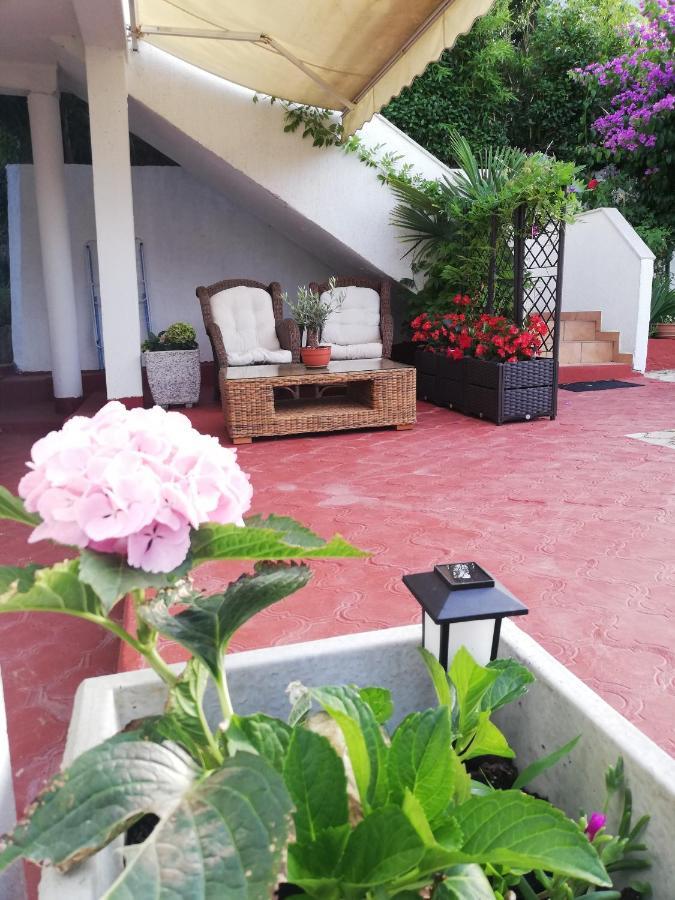 Apartments Poretti For 2,In Center Parking Free In The Yard,6 Min Beach Walk Rovinj Eksteriør billede