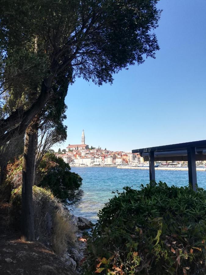 Apartments Poretti For 2,In Center Parking Free In The Yard,6 Min Beach Walk Rovinj Eksteriør billede