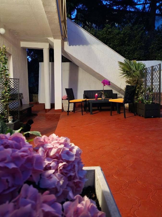 Apartments Poretti For 2,In Center Parking Free In The Yard,6 Min Beach Walk Rovinj Eksteriør billede