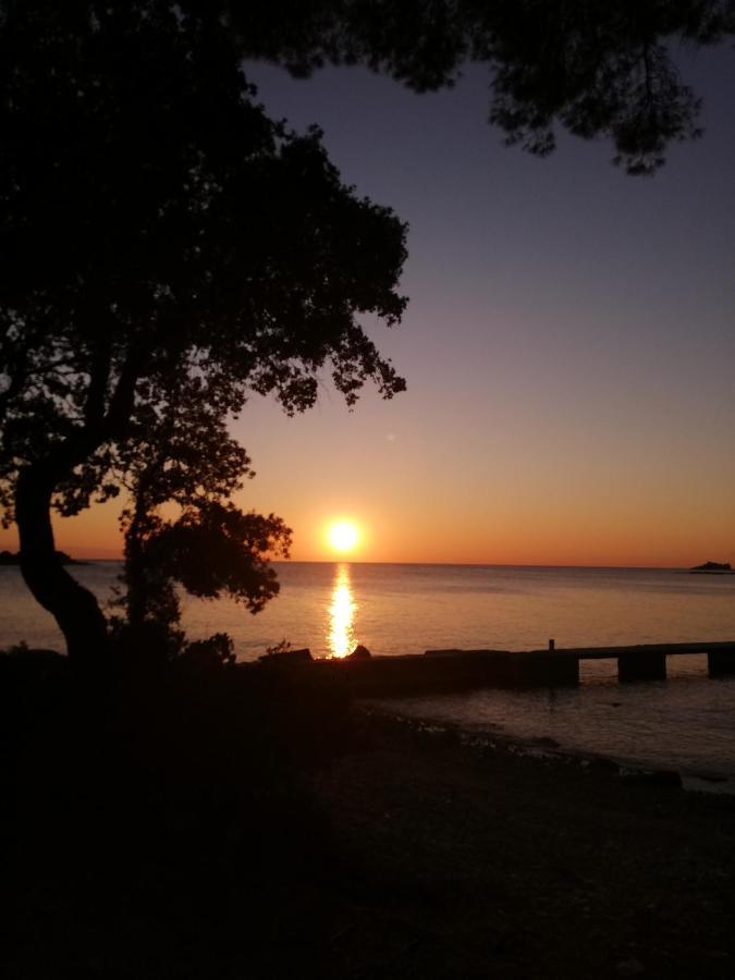 Apartments Poretti For 2,In Center Parking Free In The Yard,6 Min Beach Walk Rovinj Eksteriør billede