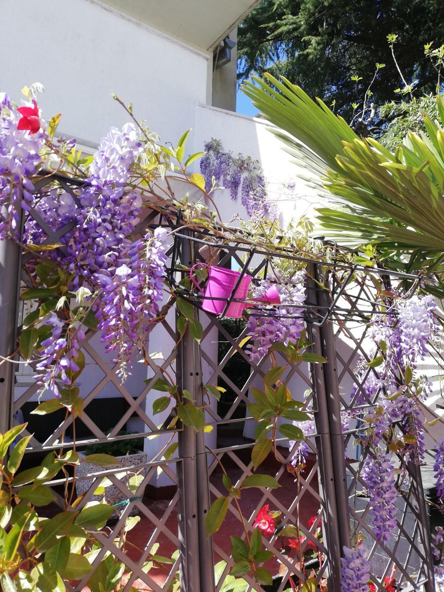 Apartments Poretti For 2,In Center Parking Free In The Yard,6 Min Beach Walk Rovinj Eksteriør billede